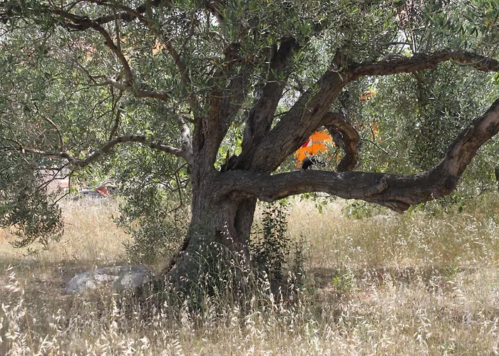 With Parking Space Bozava, Dugi Otok - 8108 Apartament