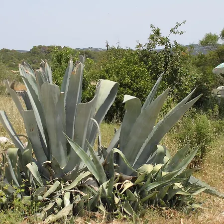 Apartment With Parking Space Bozava, Dugi Otok - 8108 *