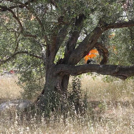 With Parking Space Bozava, Dugi Otok - 8108 Apartment